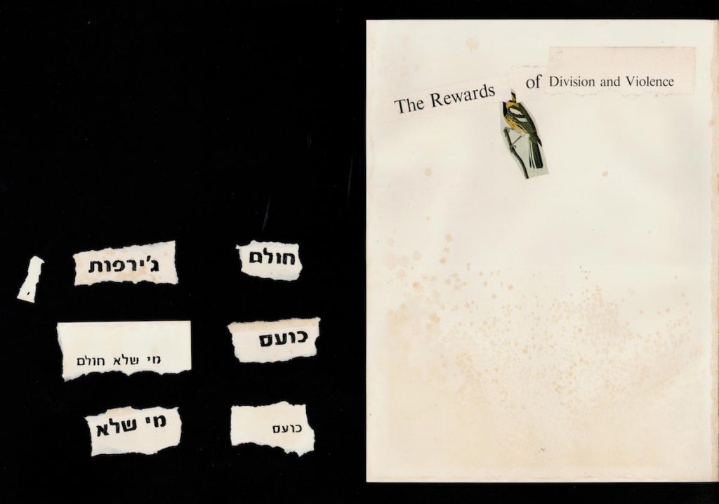 מי שלא חולם, כועס - ג׳ירפות. קולאז׳: גלעד כהנא