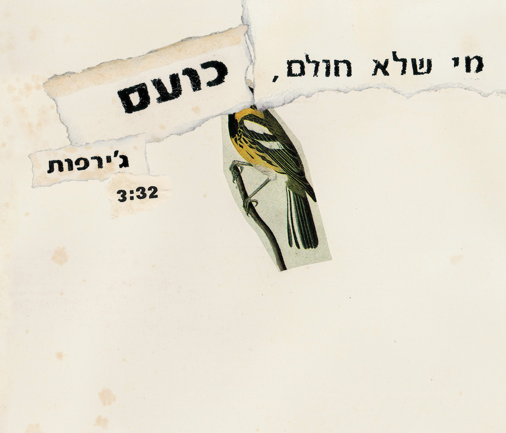 מי שלא חולם, כועס - ג׳ירפות (לאחר העיבוד). קולאז׳: גלעד כהנא