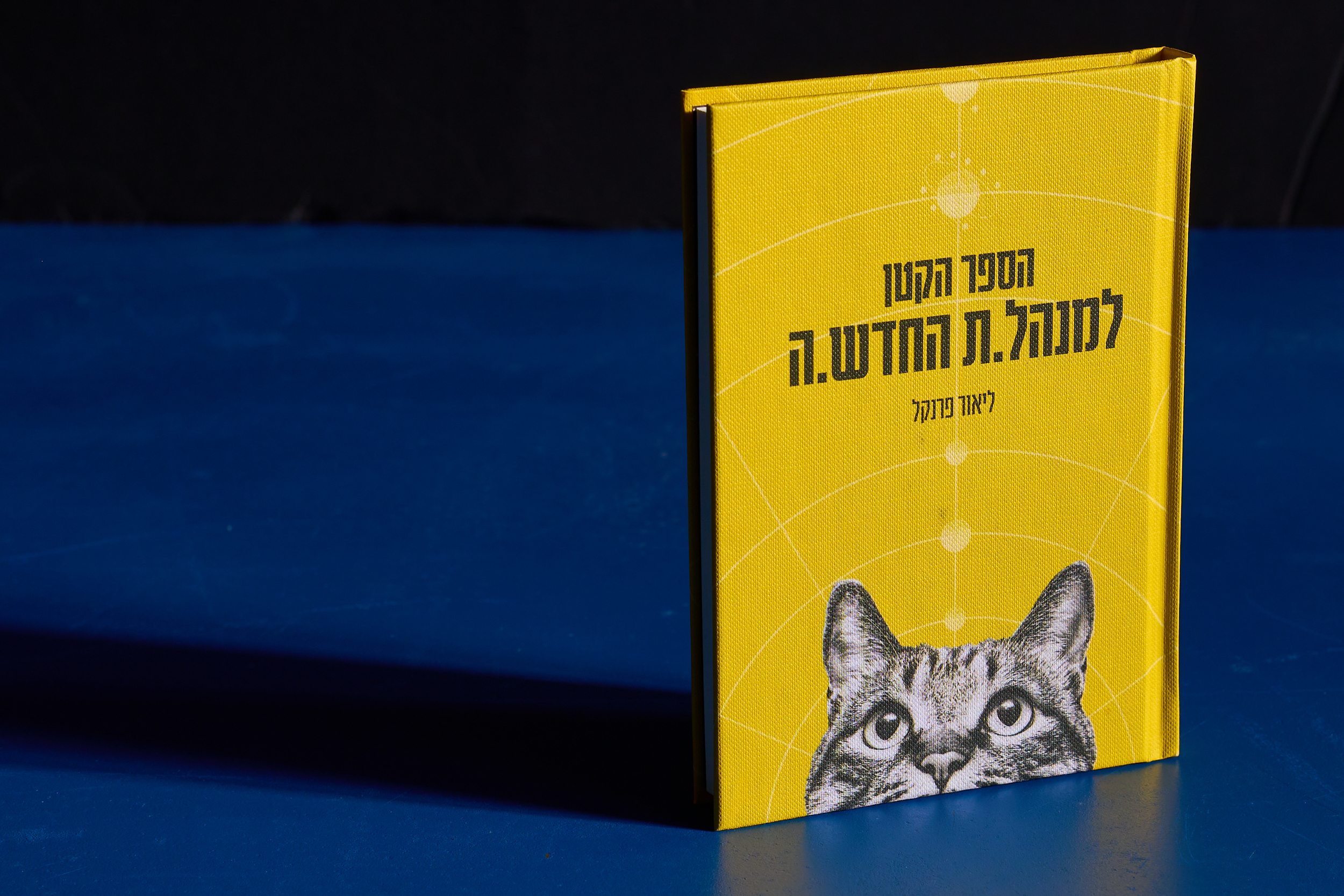 The Little Book for the New Manager - Lior Frenkel